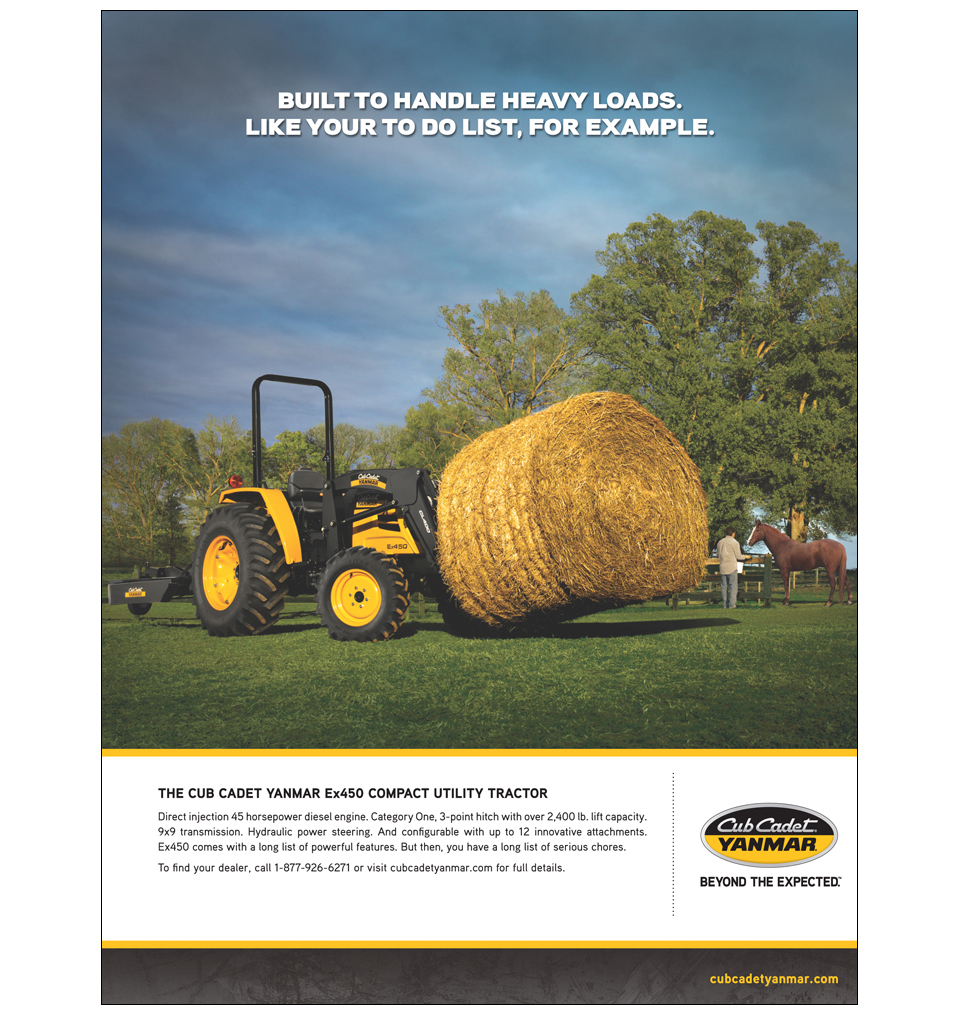 Cub Cadet 1